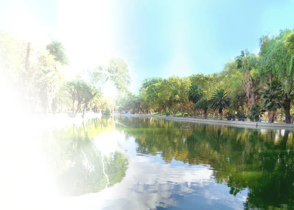 Simulación de flashes y destellos de luz en la visión sobre paisaje del Parque de Mayo en San Juan.