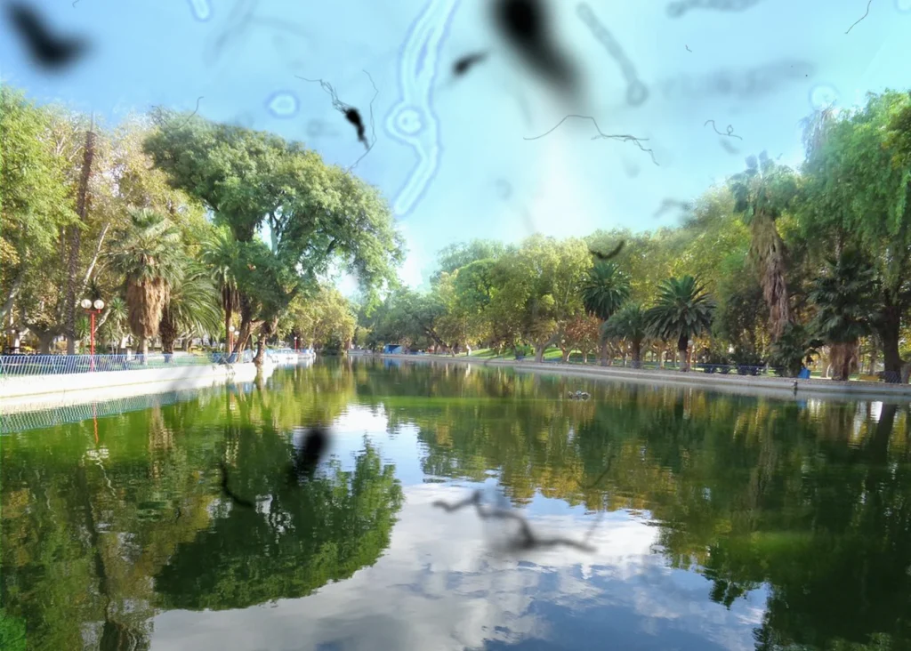 Simulación de vista con miodesopsia sobre paisaje del Parque de Mayo en San Juan.